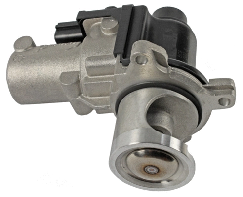 EGR Valve (CGR4941)