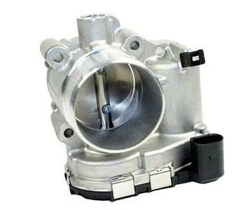 Throttle Body (CCM8165)