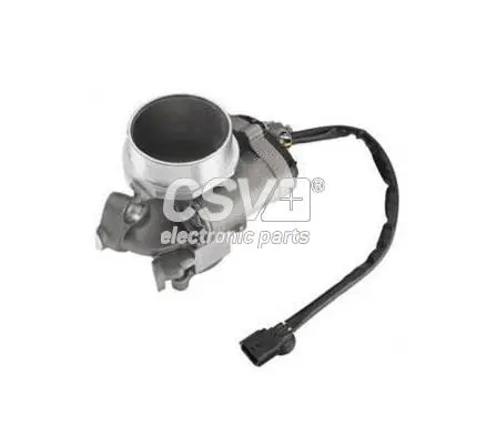 EGR Valve (CGR4980)