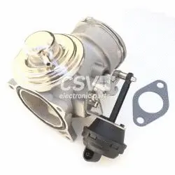 EGR Valve (CGR4839)
