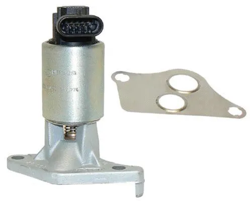 EGR Valve (CGR4635)