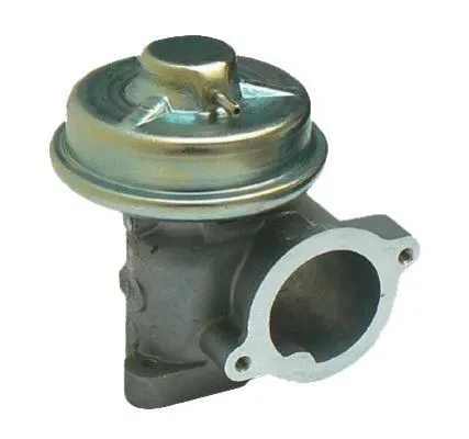 EGR Valve (CGR4721)
