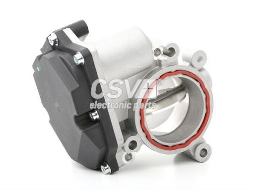 Throttle Body (CCM8073)