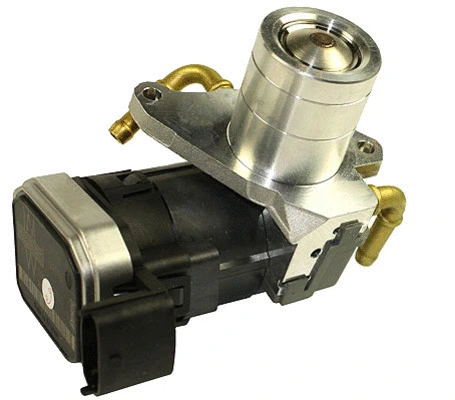 EGR Valve (CGR4658C)