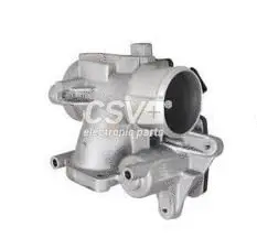 EGR Valve (CGR5322)