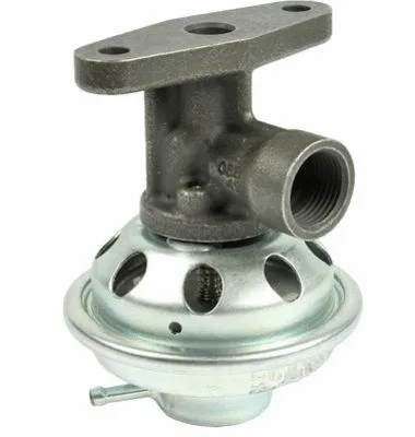 EGR Valve (CGR4986)