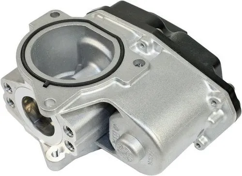 EGR Valve (CGR4652)