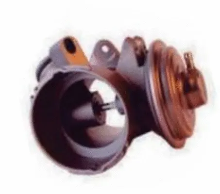 EGR Valve (CGR8186R)