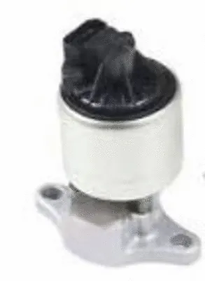 EGR Valve (CGR5146C)