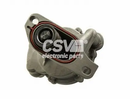 Vacuum Pump, braking system (CBV1168)