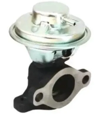 EGR Valve (CGR5147)