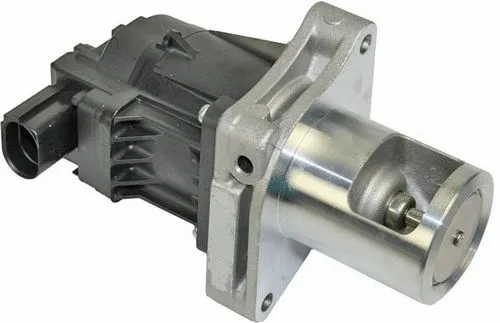 EGR Valve (CGR5000)