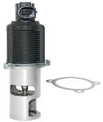 EGR Valve (CGR4646)