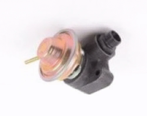 EGR Valve (CGR4625)