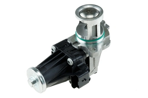 Cooler, exhaust gas recirculation (CEF5313)