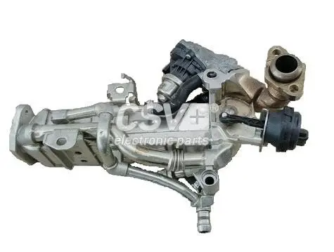 EGR Valve (CGR5655R)