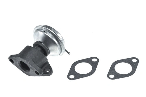 EGR Valve (CGR4616)
