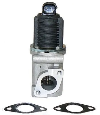EGR Valve (CGR4604)