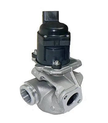 EGR Valve (CGR4601)