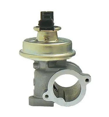 EGR Valve (CGR4667)