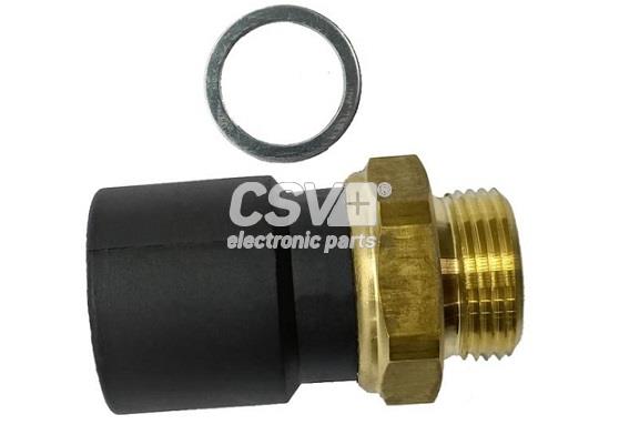 Temperature Switch, radiator fan (CST9789)