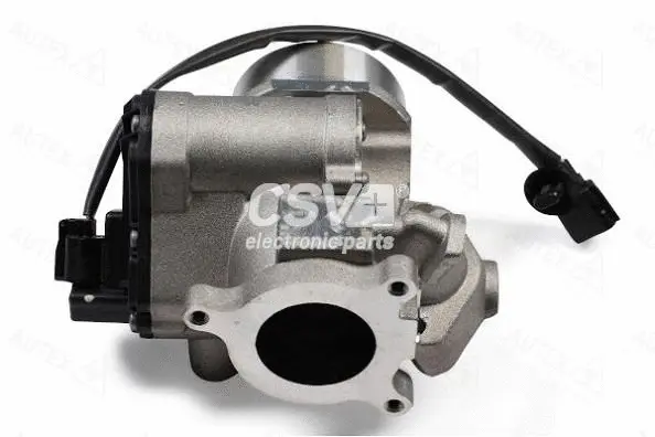 EGR Valve (CGR4979)
