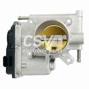 Throttle Body (CCM8310)
