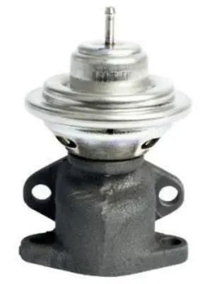 EGR Valve (CGR4931)