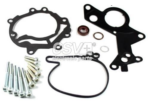 Repair Set, vacuum pump (braking system) (CKRB256)