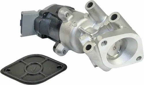 EGR Valve (CGR4640R)
