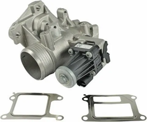EGR Valve (CGR4992)