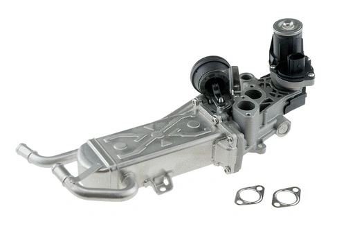 EGR Valve (CGR4999)