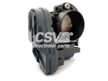 Throttle Body (CCM8110)