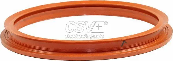 Seal, fuel sender unit (CKJSK09)