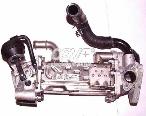 EGR Module (CGR5850)