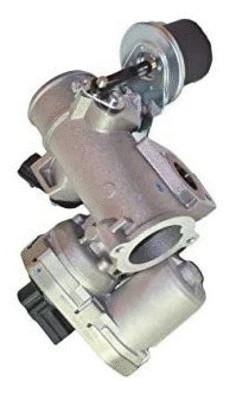 EGR Valve (CGR5012)