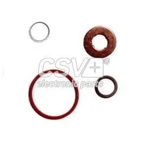 Repair Kit, unit injector (CRV9356)