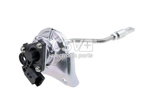 Charger, charging (supercharged/turbocharged) (CAT2166)