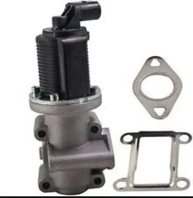 EGR Valve (CGR4813)