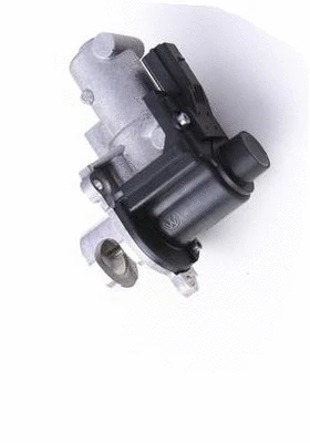 EGR Valve (CGR4940)