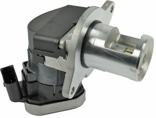 EGR Valve (CGR4895)