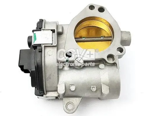Throttle Body (CCM8105)