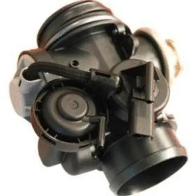 EGR Valve (CGR4731)