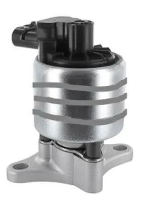 EGR Valve (CGR4650)