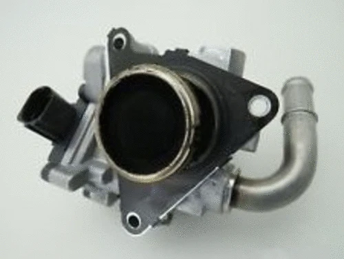EGR Valve (CGR5148)