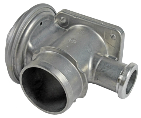 EGR Valve (CGR4920)
