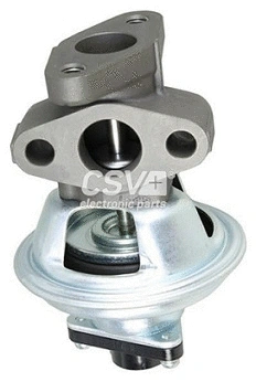 EGR Valve (CGR5411)