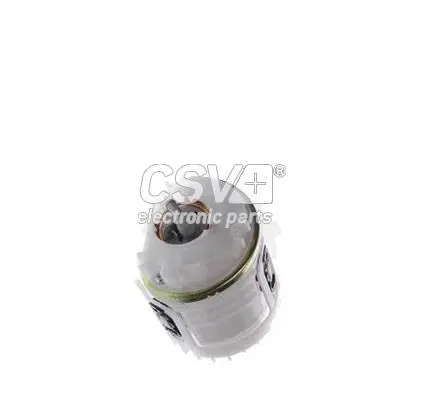 Fuel Pump (CBC7499)