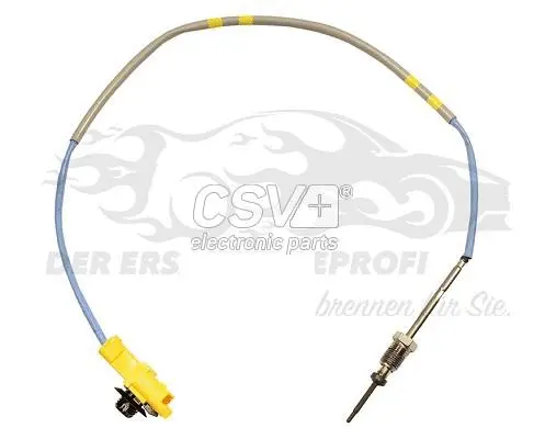Sensor, exhaust gas temperature (CST2212)