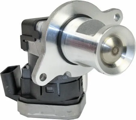 EGR Valve (CGR4890)